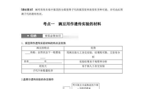 第5单元　第1课时　分离定律的发现_新高考复习资料_2024年新高考复习资料_一轮复习资料_完2024生物步步高大一轮复习（课件+讲义）_2024年高考生物一轮复习讲义（新人教版）