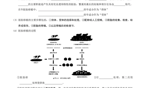 第53讲胚胎工程（知识清单）_新高考复习资料_2025年新高考资料_备战2025年高考生物一轮复习课件+知识清单_第53讲胚胎工程-备战2025年高考生物一轮复习课件+知识清单