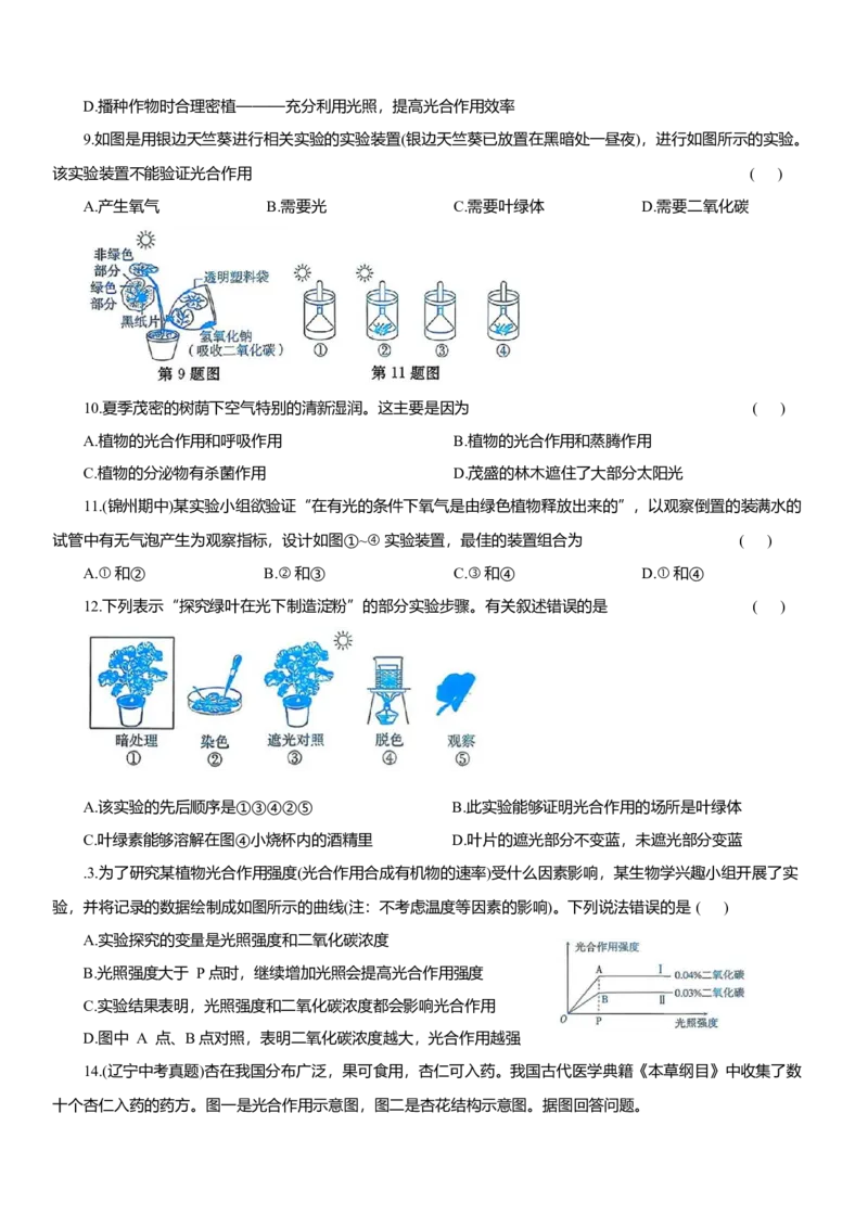 2026年中考生物复习专题练习：专题十四植物的光合作用和呼吸作用（含答案）_6生物中考复习_2026年中考复习（更新中）_2026年中考生物一轮复习专题练习（含答案）