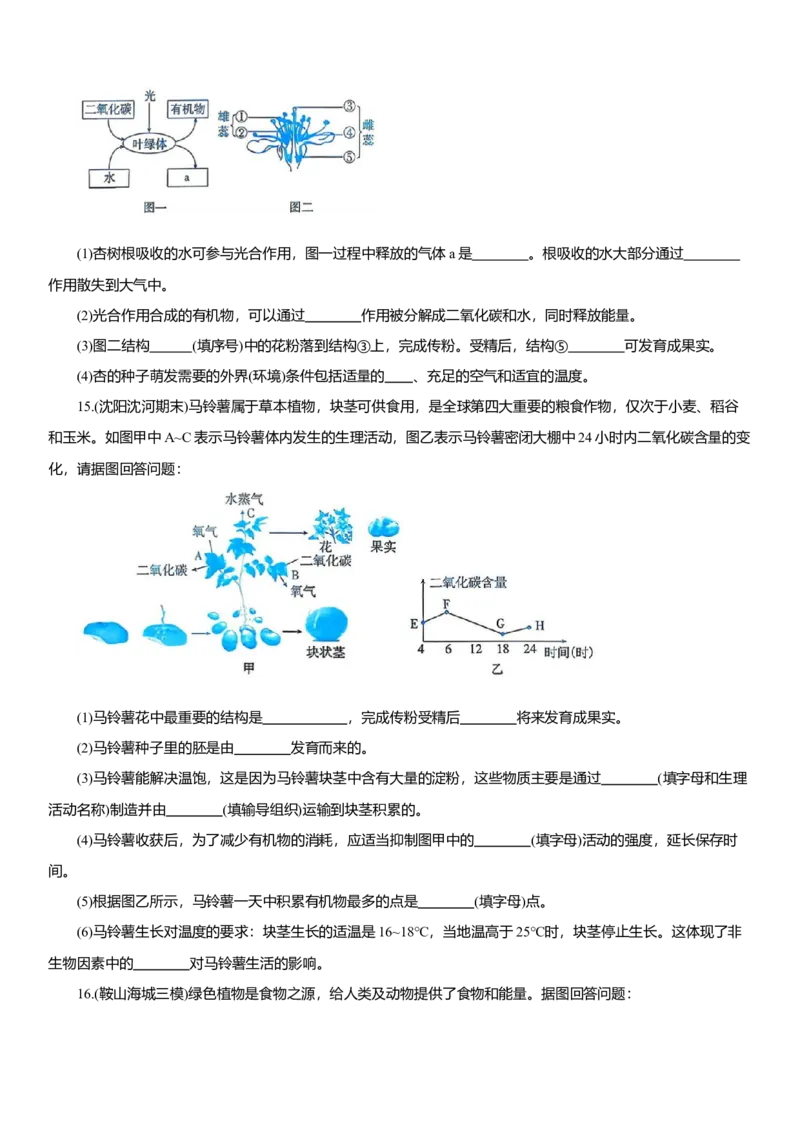 2026年中考生物复习专题练习：专题十四植物的光合作用和呼吸作用（含答案）_6生物中考复习_2026年中考复习（更新中）_2026年中考生物一轮复习专题练习（含答案）