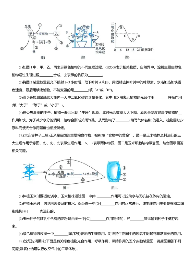 2026年中考生物复习专题练习：专题十四植物的光合作用和呼吸作用（含答案）_6生物中考复习_2026年中考复习（更新中）_2026年中考生物一轮复习专题练习（含答案）