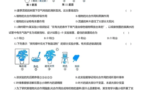2026年中考生物复习专题练习：专题十四植物的光合作用和呼吸作用（含答案）_6生物中考复习_2026年中考复习（更新中）_2026年中考生物一轮复习专题练习（含答案）