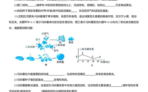 2026年中考生物复习专题练习：专题十四植物的光合作用和呼吸作用（含答案）_6生物中考复习_2026年中考复习（更新中）_2026年中考生物一轮复习专题练习（含答案）