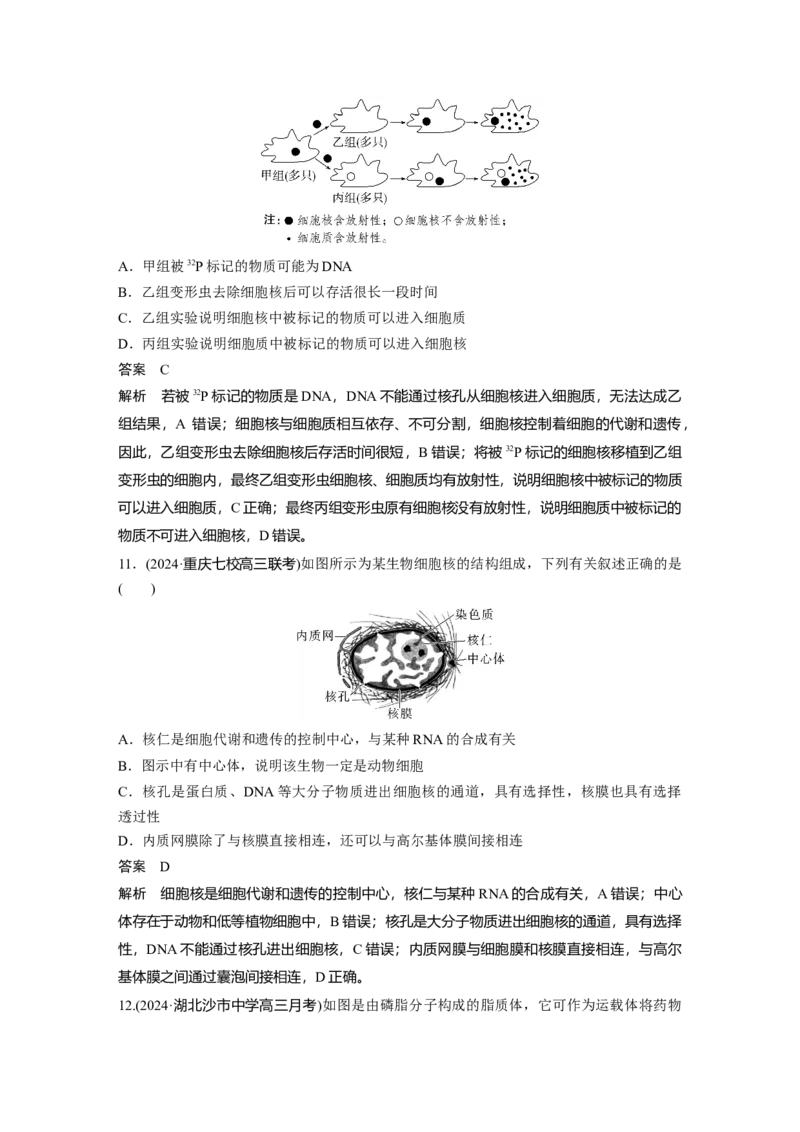 第二单元　第6课时　细胞膜与细胞核的结构和功能_新高考复习资料_2025年新高考资料_2025新高考一轮复习生物_2025大一轮复习讲义生物人教版教师用书Word版文档整书