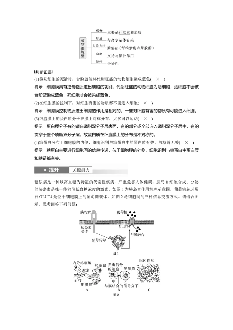 第二单元　第6课时　细胞膜与细胞核的结构和功能_新高考复习资料_2025年新高考资料_2025新高考一轮复习生物_2025大一轮复习讲义生物人教版教师用书Word版文档整书