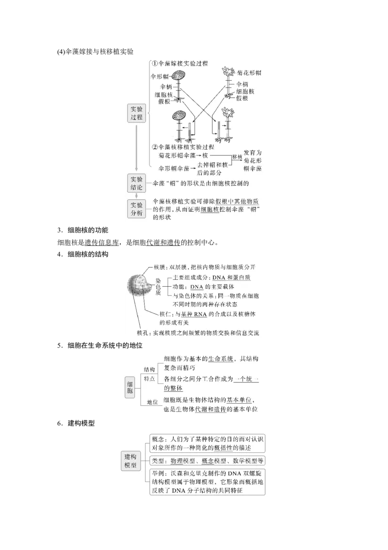 第二单元　第6课时　细胞膜与细胞核的结构和功能_新高考复习资料_2025年新高考资料_2025新高考一轮复习生物_2025大一轮复习讲义生物人教版教师用书Word版文档整书