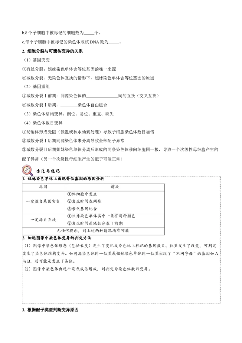 第5讲细胞的分裂、分化、衰老和死亡（讲练）-2023年高考生物二轮复习讲练测（新教材专用）（原卷版）_新高考复习资料_2023年新高考复习资料_二轮复习