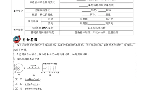 第5讲细胞的分裂、分化、衰老和死亡（讲练）-2023年高考生物二轮复习讲练测（新教材专用）（原卷版）_新高考复习资料_2023年新高考复习资料_二轮复习