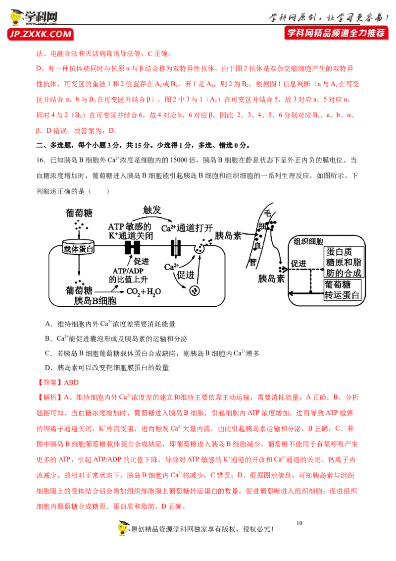 第八单元神经-激素-免疫调节网络构建（B卷能力提升练）-2023年高考生物一轮复习单元滚动双测卷（新高考专用）（解析版）_新高考复习资料_2023年新高考复习资料_一轮复习