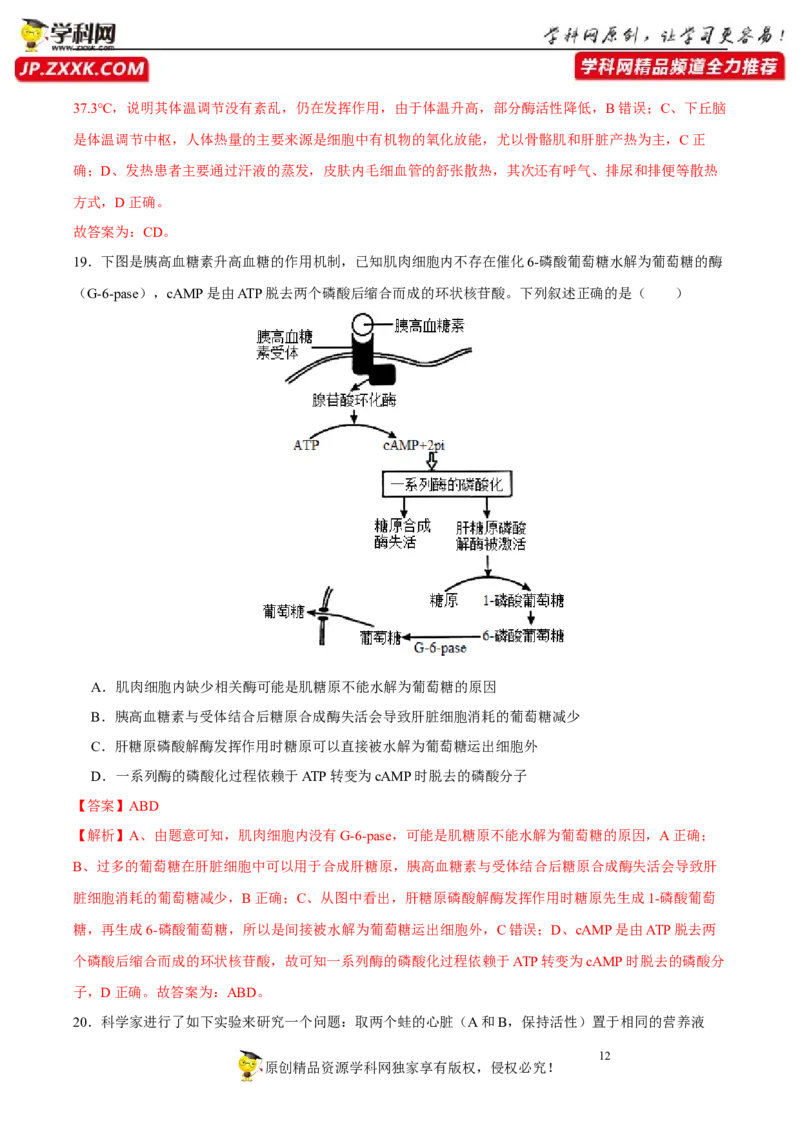 第八单元神经-激素-免疫调节网络构建（B卷能力提升练）-2023年高考生物一轮复习单元滚动双测卷（新高考专用）（解析版）_新高考复习资料_2023年新高考复习资料_一轮复习