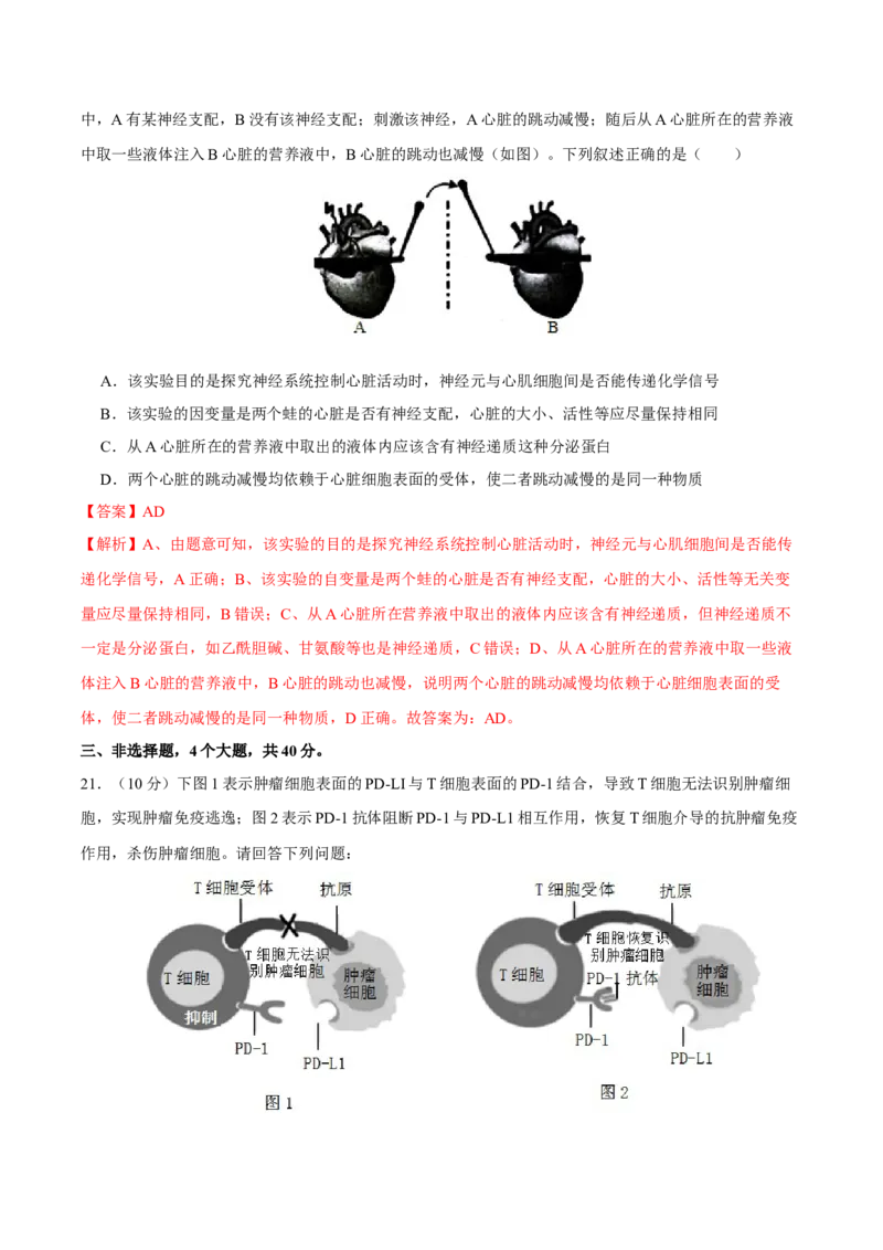 第八单元神经-激素-免疫调节网络构建（B卷能力提升练）-2023年高考生物一轮复习单元滚动双测卷（新高考专用）（解析版）_新高考复习资料_2023年新高考复习资料_一轮复习
