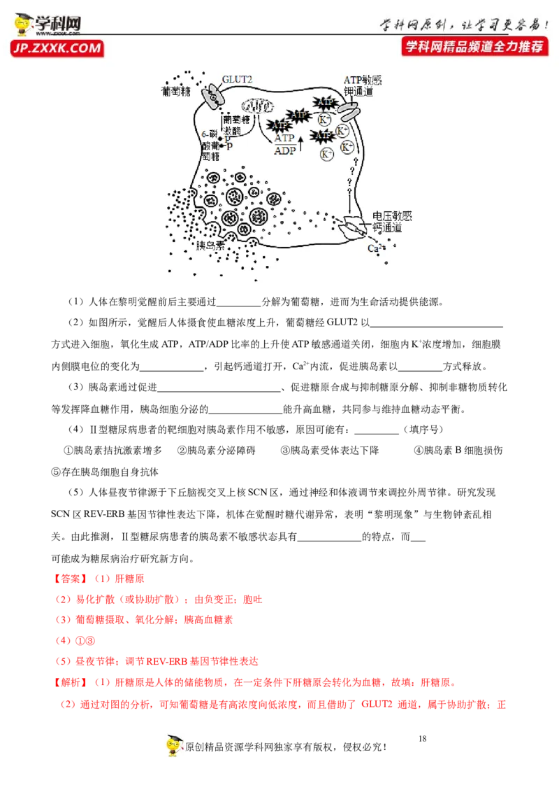 第八单元神经-激素-免疫调节网络构建（B卷能力提升练）-2023年高考生物一轮复习单元滚动双测卷（新高考专用）（解析版）_新高考复习资料_2023年新高考复习资料_一轮复习