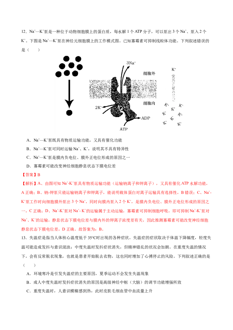 第八单元神经-激素-免疫调节网络构建（B卷能力提升练）-2023年高考生物一轮复习单元滚动双测卷（新高考专用）（解析版）_新高考复习资料_2023年新高考复习资料_一轮复习