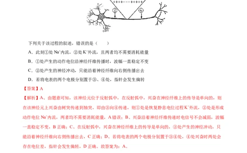 第八单元神经-激素-免疫调节网络构建（B卷能力提升练）-2023年高考生物一轮复习单元滚动双测卷（新高考专用）（解析版）_新高考复习资料_2023年新高考复习资料_一轮复习