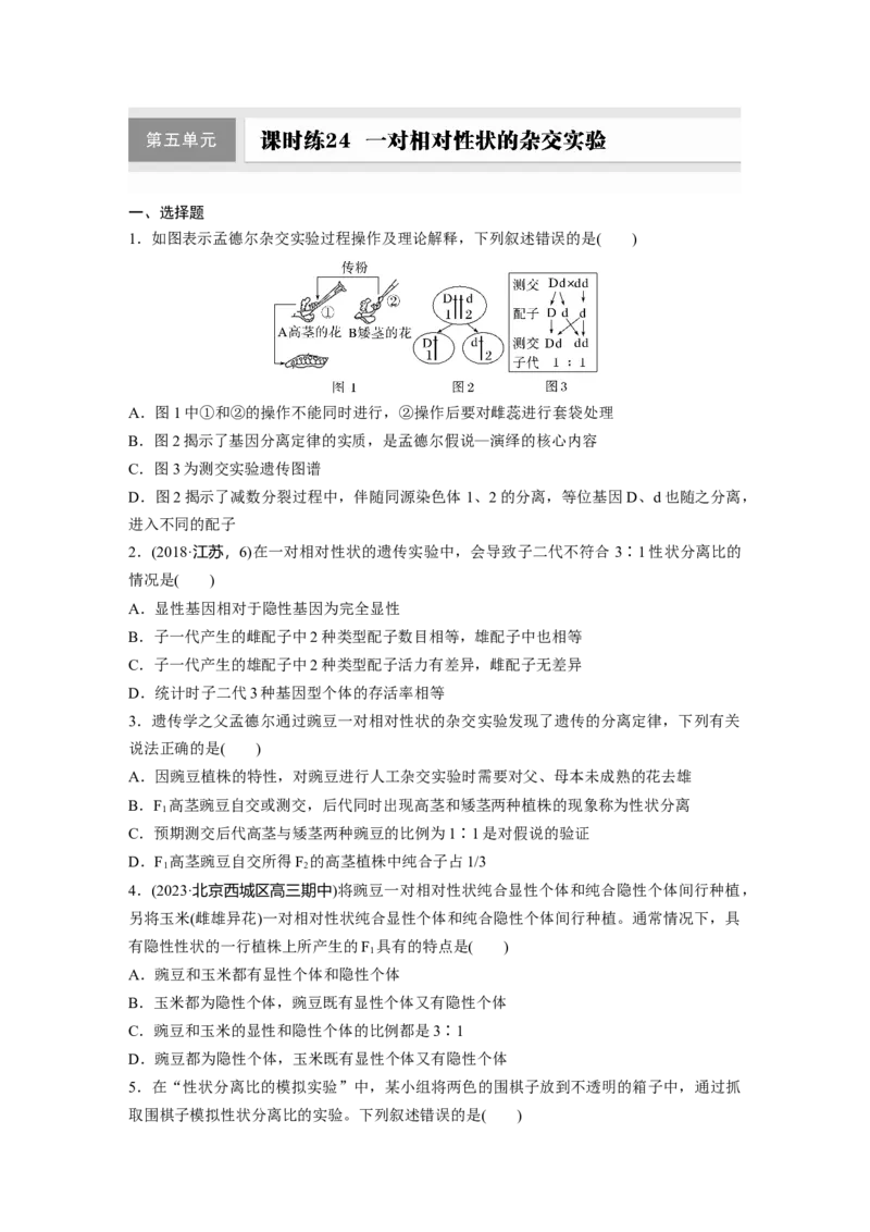 第五单元课时练24一对相对性状的杂交实验_2025年新高考资料_一轮复习_2025大一轮复习讲义+课件（完结）_2025大一轮复习讲义生物学生用书Word版文档整书_2025一轮复习73练