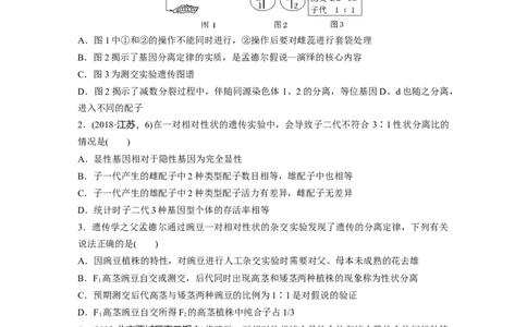 第五单元课时练24一对相对性状的杂交实验_2025年新高考资料_一轮复习_2025大一轮复习讲义+课件（完结）_2025大一轮复习讲义生物学生用书Word版文档整书_2025一轮复习73练