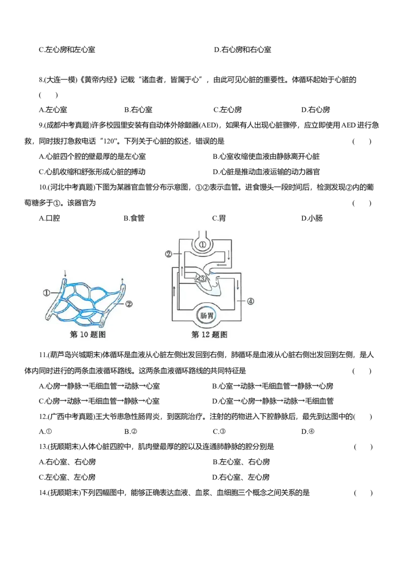2026年中考生物复习专题练习：专题十六循环系统（含答案）_6生物中考复习_2026年中考复习（更新中）_2026年中考生物一轮复习专题练习（含答案）