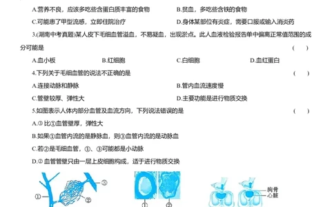 2026年中考生物复习专题练习：专题十六循环系统（含答案）_6生物中考复习_2026年中考复习（更新中）_2026年中考生物一轮复习专题练习（含答案）