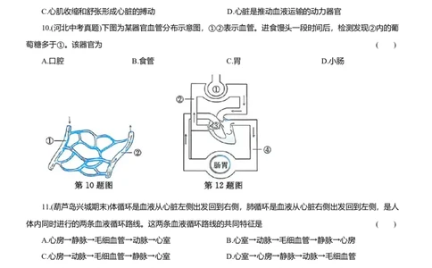 2026年中考生物复习专题练习：专题十六循环系统（含答案）_6生物中考复习_2026年中考复习（更新中）_2026年中考生物一轮复习专题练习（含答案）