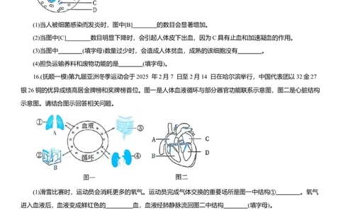 2026年中考生物复习专题练习：专题十六循环系统（含答案）_6生物中考复习_2026年中考复习（更新中）_2026年中考生物一轮复习专题练习（含答案）