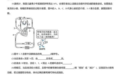2026年中考生物复习专题练习：专题十六循环系统（含答案）_6生物中考复习_2026年中考复习（更新中）_2026年中考生物一轮复习专题练习（含答案）