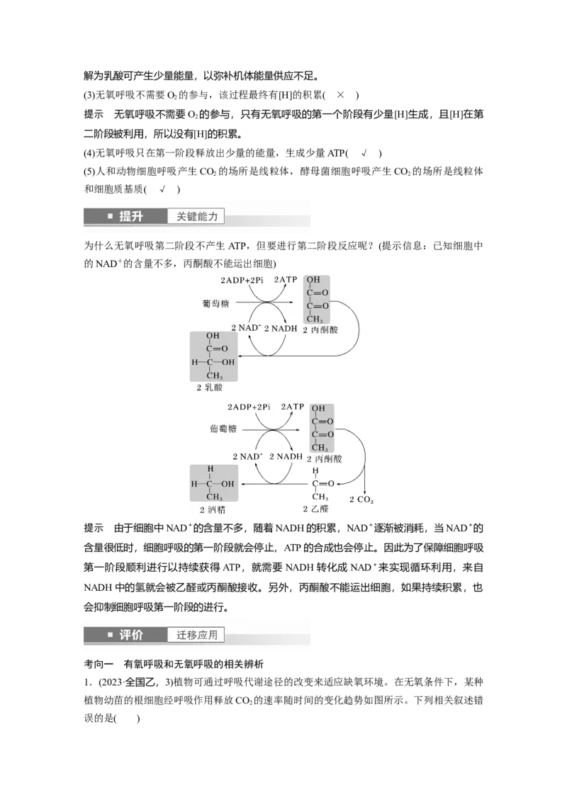 第三单元　第14课时　无氧呼吸、细胞呼吸的影响因素及其应用_2025年新高考资料_一轮复习_2025大一轮复习讲义+课件（完结）_2025大一轮复习讲义生物教师用书Word版文档整书
