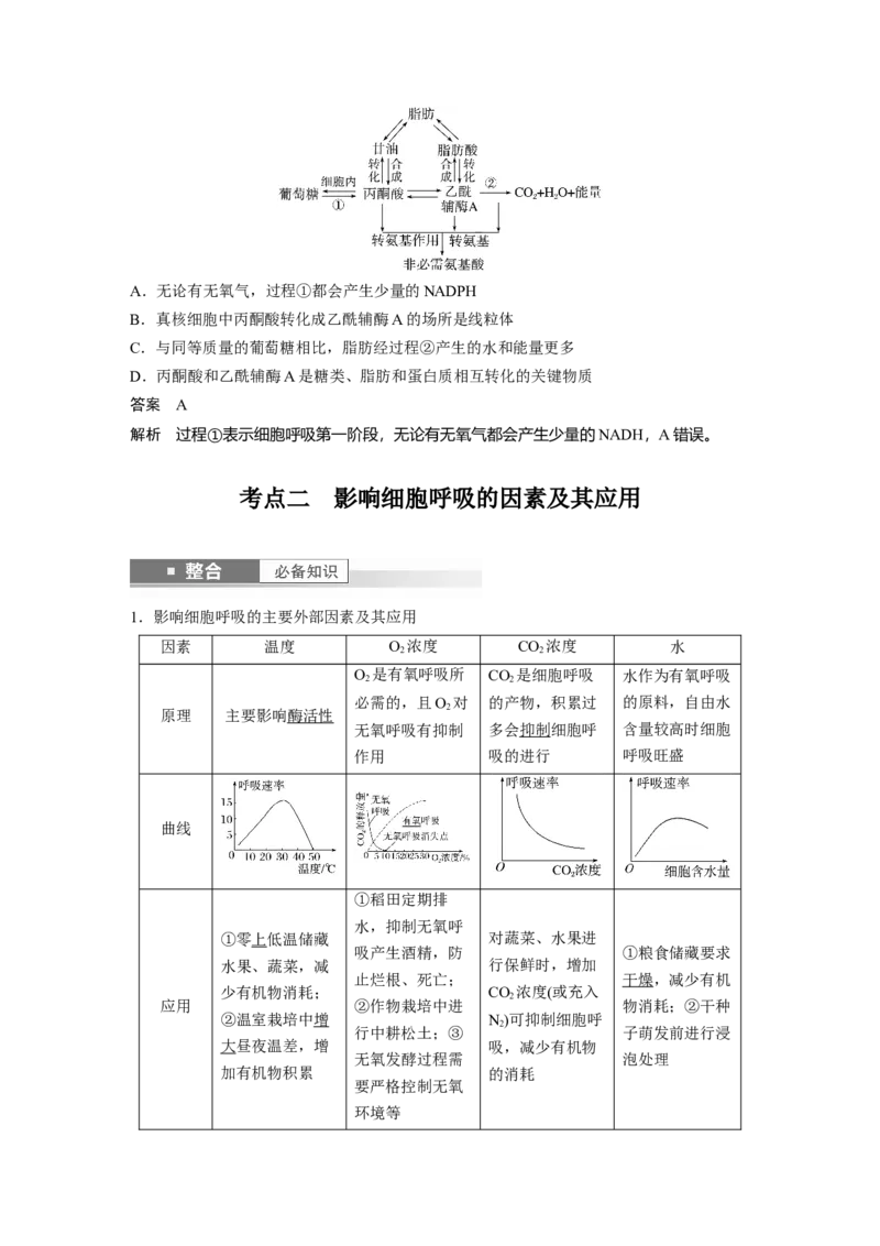 第三单元　第14课时　无氧呼吸、细胞呼吸的影响因素及其应用_2025年新高考资料_一轮复习_2025大一轮复习讲义+课件（完结）_2025大一轮复习讲义生物教师用书Word版文档整书