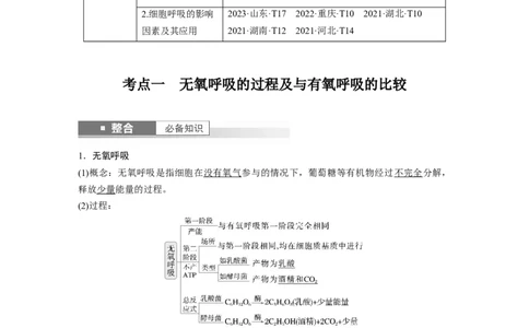 第三单元　第14课时　无氧呼吸、细胞呼吸的影响因素及其应用_2025年新高考资料_一轮复习_2025大一轮复习讲义+课件（完结）_2025大一轮复习讲义生物教师用书Word版文档整书