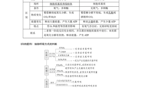 第三单元　第14课时　无氧呼吸、细胞呼吸的影响因素及其应用_2025年新高考资料_一轮复习_2025大一轮复习讲义+课件（完结）_2025大一轮复习讲义生物教师用书Word版文档整书