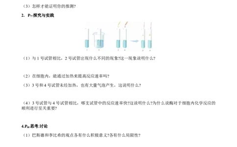 第五章细胞的能量供应和利用-查漏补缺2023年高考生物一轮复习教材必背细节与旁栏思考梳理汇总（新教材）（填空版）_新高考复习资料_2023年新高考复习资料_一轮复习