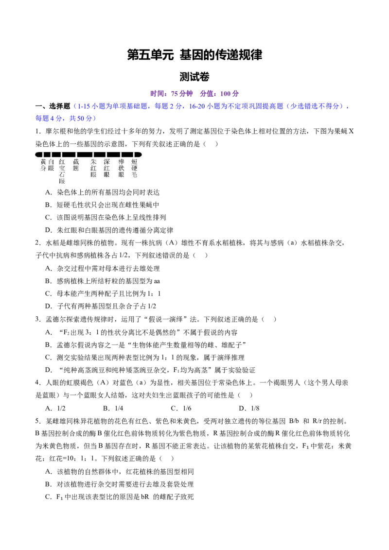 第五单元基因的传递规律（测试）（原卷版）_2025年新高考资料_一轮复习_2025年高考生物一轮复习讲练测（新教材新高考）