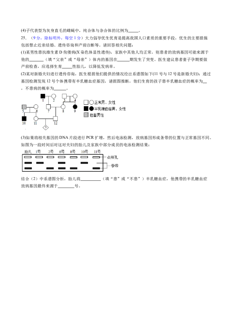 第五单元基因的传递规律（测试）（原卷版）_2025年新高考资料_一轮复习_2025年高考生物一轮复习讲练测（新教材新高考）