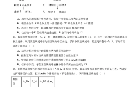 第五单元基因的传递规律（测试）（原卷版）_2025年新高考资料_一轮复习_2025年高考生物一轮复习讲练测（新教材新高考）