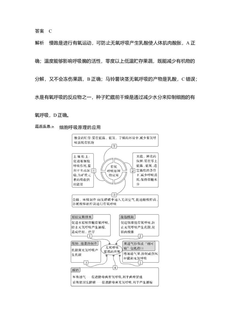 第8讲细胞呼吸_通用版（老高考）复习资料_2023年复习资料_一轮复习_2023年高考生物一轮复习讲义+课件（全国版）_2023年高考生物一轮复习讲义（全国版）_赠补充习题