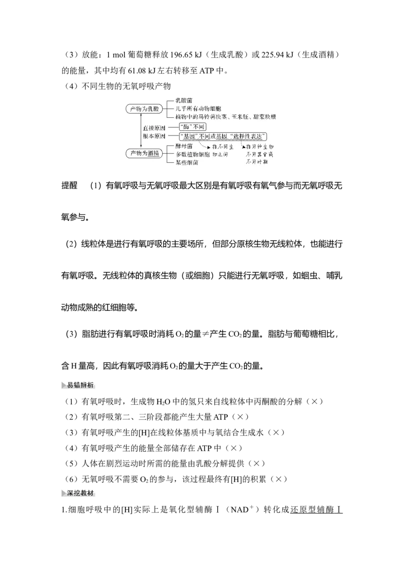 第8讲细胞呼吸_通用版（老高考）复习资料_2023年复习资料_一轮复习_2023年高考生物一轮复习讲义+课件（全国版）_2023年高考生物一轮复习讲义（全国版）_赠补充习题
