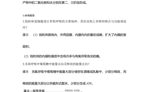 第8讲细胞呼吸_通用版（老高考）复习资料_2023年复习资料_一轮复习_2023年高考生物一轮复习讲义+课件（全国版）_2023年高考生物一轮复习讲义（全国版）_赠补充习题
