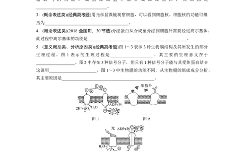 第一篇专题一语言表达(一)　与细胞有关的概念、特点、作用描述_通用版（老高考）复习资料_2023年复习资料_二轮复习_2023年高考生物二轮复习讲义+课件（全国版）_学生版