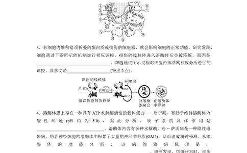 第一篇专题一语言表达(一)　与细胞有关的概念、特点、作用描述_通用版（老高考）复习资料_2023年复习资料_二轮复习_2023年高考生物二轮复习讲义+课件（全国版）_学生版