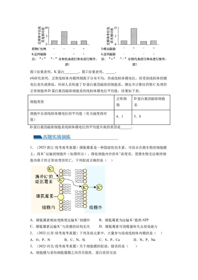 第5讲细胞膜和细胞核（练习）（原卷版）_新高考复习资料_2024年新高考复习资料_一轮复习资料_完2024年高考生物一轮复习讲练测(课件+讲义+练习)（新高考）_讲义+练习