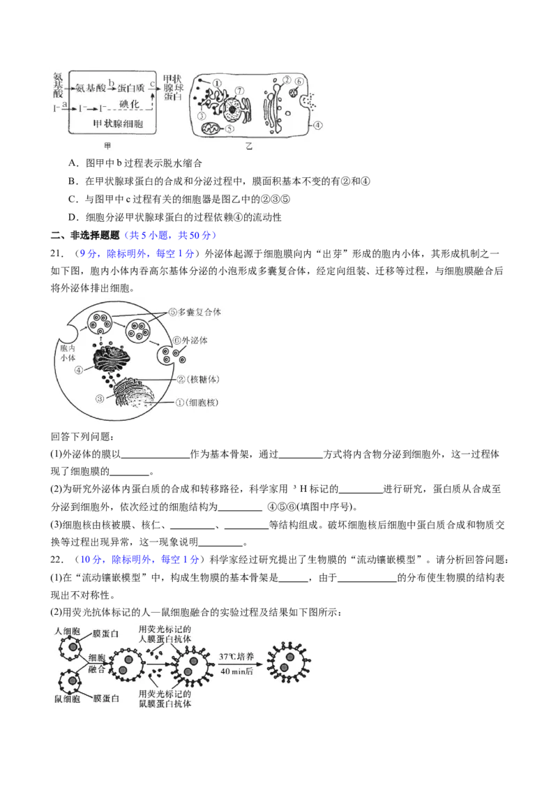第二单元细胞的结构、功能和物质运输（测试）（原卷版）_2025年新高考资料_一轮复习_2025年高考生物一轮复习讲练测（新教材新高考）