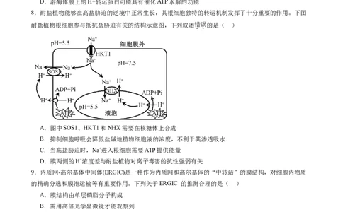 第二单元细胞的结构、功能和物质运输（测试）（原卷版）_2025年新高考资料_一轮复习_2025年高考生物一轮复习讲练测（新教材新高考）