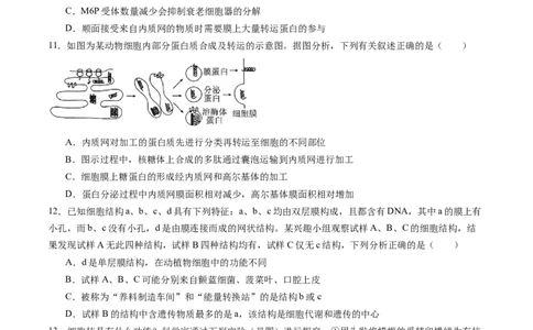 第二单元细胞的结构、功能和物质运输（测试）（原卷版）_2025年新高考资料_一轮复习_2025年高考生物一轮复习讲练测（新教材新高考）