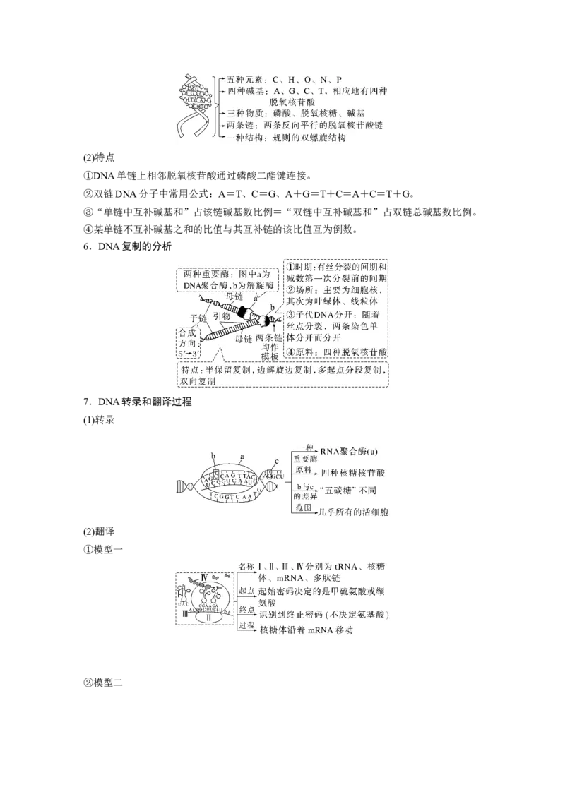 第一篇专题五考点一　基因的本质和表达_通用版（老高考）复习资料_2023年复习资料_二轮复习_2023年高考生物二轮复习讲义+课件（全国版）_2023年高考生物二轮复习讲义（全国版）_学生版