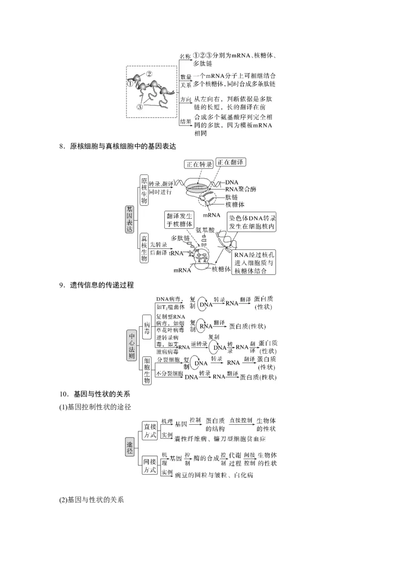 第一篇专题五考点一　基因的本质和表达_通用版（老高考）复习资料_2023年复习资料_二轮复习_2023年高考生物二轮复习讲义+课件（全国版）_2023年高考生物二轮复习讲义（全国版）_学生版