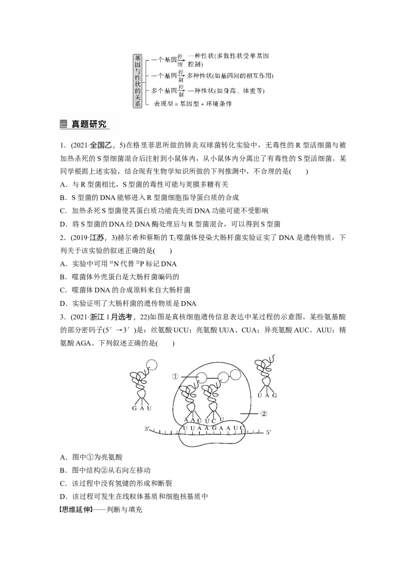 第一篇专题五考点一　基因的本质和表达_通用版（老高考）复习资料_2023年复习资料_二轮复习_2023年高考生物二轮复习讲义+课件（全国版）_2023年高考生物二轮复习讲义（全国版）_学生版