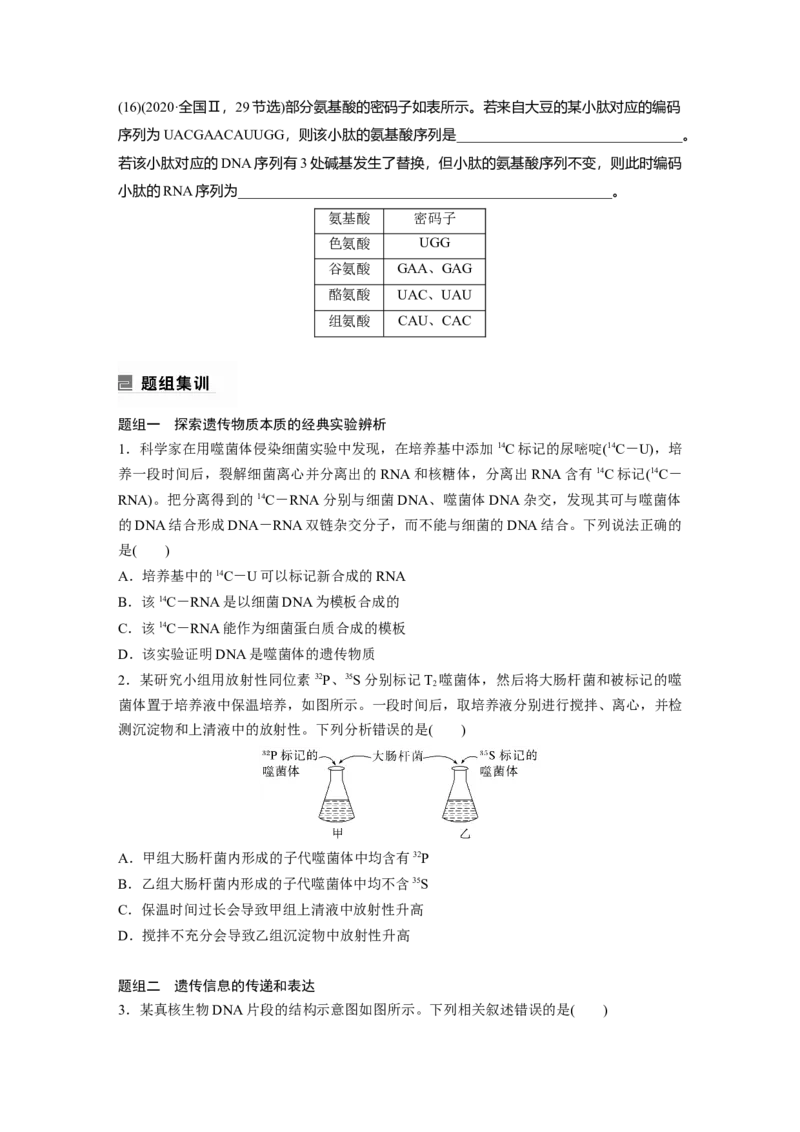 第一篇专题五考点一　基因的本质和表达_通用版（老高考）复习资料_2023年复习资料_二轮复习_2023年高考生物二轮复习讲义+课件（全国版）_2023年高考生物二轮复习讲义（全国版）_学生版