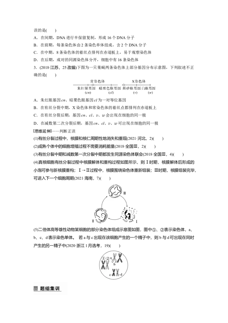 第一篇专题三考点一　有丝分裂与减数分裂及相关比较_通用版（老高考）复习资料_2023年复习资料_二轮复习_2023年高考生物二轮复习讲义+课件（全国版）_学生版_大二轮专题复习讲义