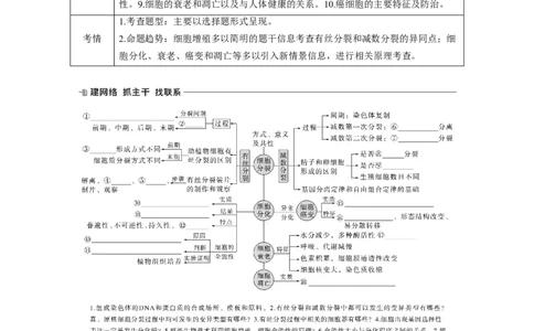 第一篇专题三考点一　有丝分裂与减数分裂及相关比较_通用版（老高考）复习资料_2023年复习资料_二轮复习_2023年高考生物二轮复习讲义+课件（全国版）_学生版_大二轮专题复习讲义