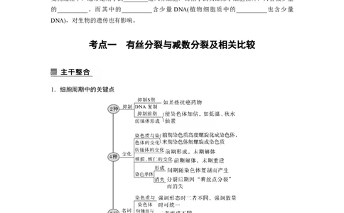 第一篇专题三考点一　有丝分裂与减数分裂及相关比较_通用版（老高考）复习资料_2023年复习资料_二轮复习_2023年高考生物二轮复习讲义+课件（全国版）_学生版_大二轮专题复习讲义