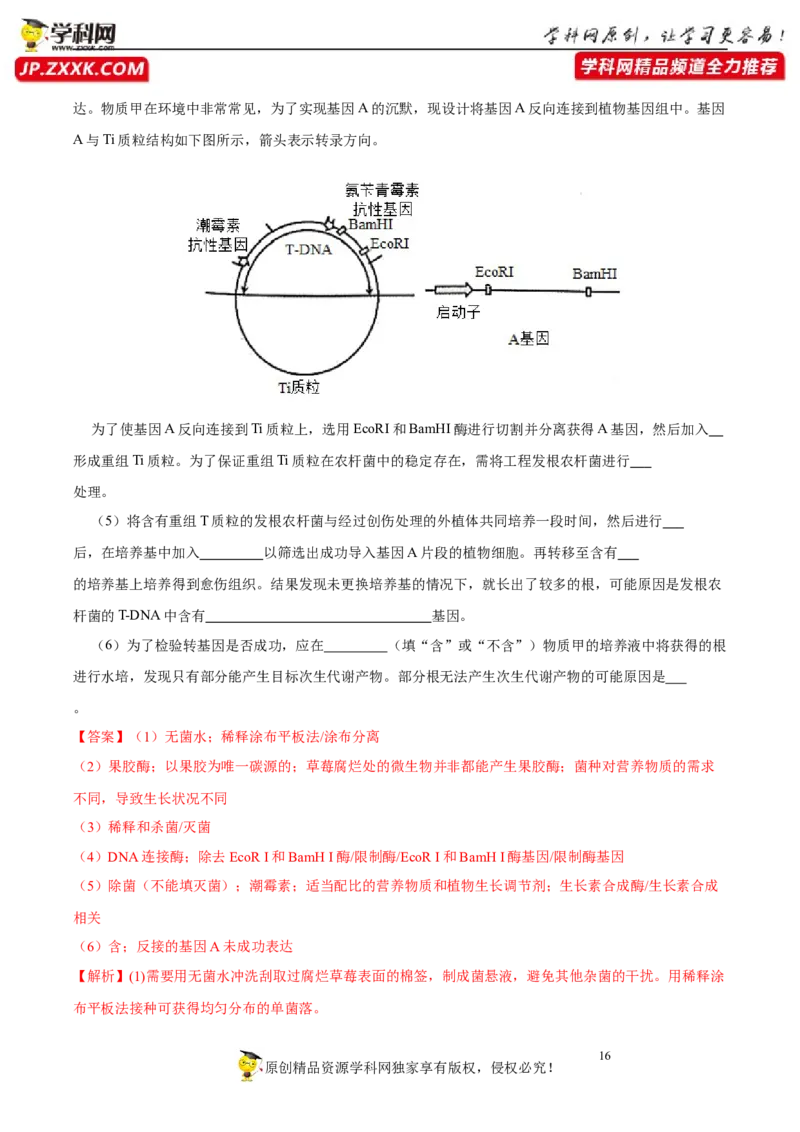 第十二单元发酵工程（B卷能力提升练）-2023年高考生物一轮复习单元滚动双测卷（新高考专用）（解析版）_新高考复习资料_2023年新高考复习资料_一轮复习